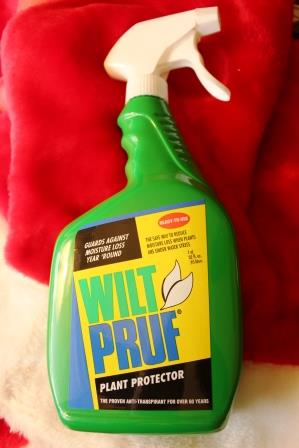 Christmas Decorating Tip Wilt Pruf