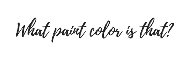 Paint Color Consultations