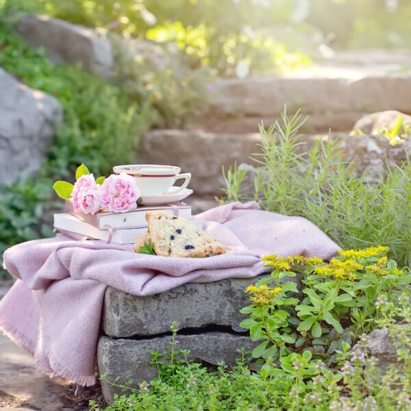 Tea and scones outside in the garden