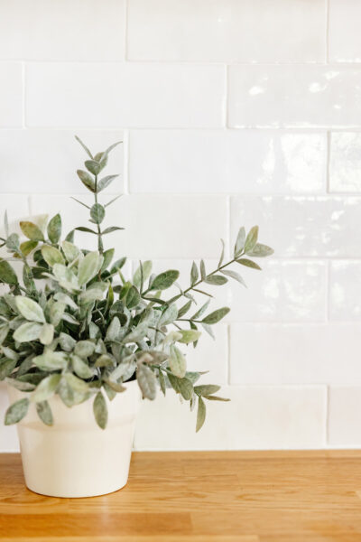 Kitchen subway tile with plan on counter